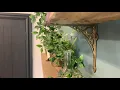 Polished Brass Iron Bridge Shelf Bracket - Small 22 x 22cm