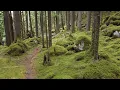 Download Lagu Above The River and Forest | Mountains Drone \u0026 Nature Film