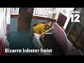 Couple steals live lobster from restaurant tank after being asked to leave for vaping News 12