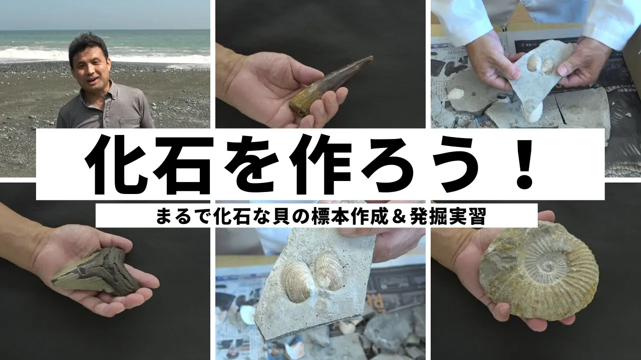 先生に褒められる自主学習！6年生にオススメの自学理科のアイデア