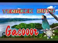 Lagu Masteran Burung Lomba Tengkek Buto gacor durasi panjang dan jernih
