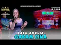 Lagu Garam Cina - Ersa Amelia | Mahesa Music Live Dawarblandong - mojokerto