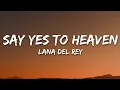 Download Lagu Lana Del Rey - Say Yes To Heaven (Lyrics)