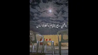 جيت على بالى عامر منيب 