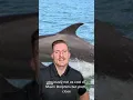 Living In Clearwater Florida