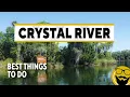 Best Things to See Do in Crystal River 2022 How to Swim With Manatees Guide