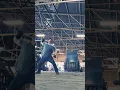 Download Lagu #martialarts #action #filmmaker #fightchoreography #actor