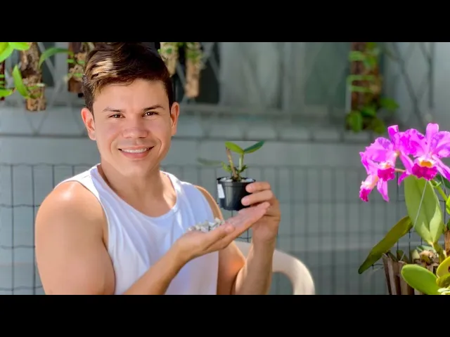 COMO PLANTAR ORQUÍDEAS 20