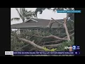 Fallen trees wrecked homes See Lala s Hawaii Island toll