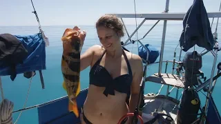A Very Fishy Affair – Free Range Sailing Ep 64