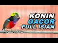 Download Lagu KOLIBRI NINJA GACOR FULL ISIAN TEMBAKAN BREM COCOK BUAT MASTERAN DAN PANCINGAN KONIN BAHAN TROTOL