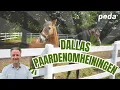 Dallas omheining voor paarden | Poda Omheiningen