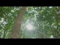 Download Lagu aslay song NASHANGAA (official video)