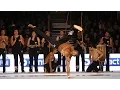 Download Lagu La Capoeira au Festival des Arts Martiaux Nord-Europe 2015