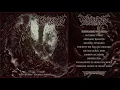 Marasmus (US) - Necrotic Overlord FULL ALBUM STREAM (Death Metal) Transcending Obscurity