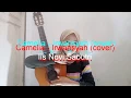 Download Lagu Camelia - Irwansyah (cover) Iis Novi Saputri