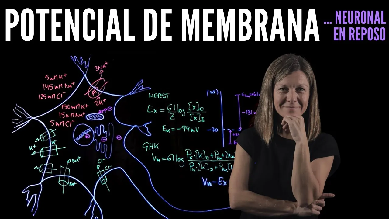 🧠POTENCIAL DE MEMBRANA en reposo de una NEURONA🔬