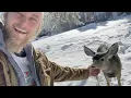 Download Lagu Andy Savage VLOG Episode 1 - Evergreen (Petting Wild Deer, STREET WORKOUT, Functional Fitness)