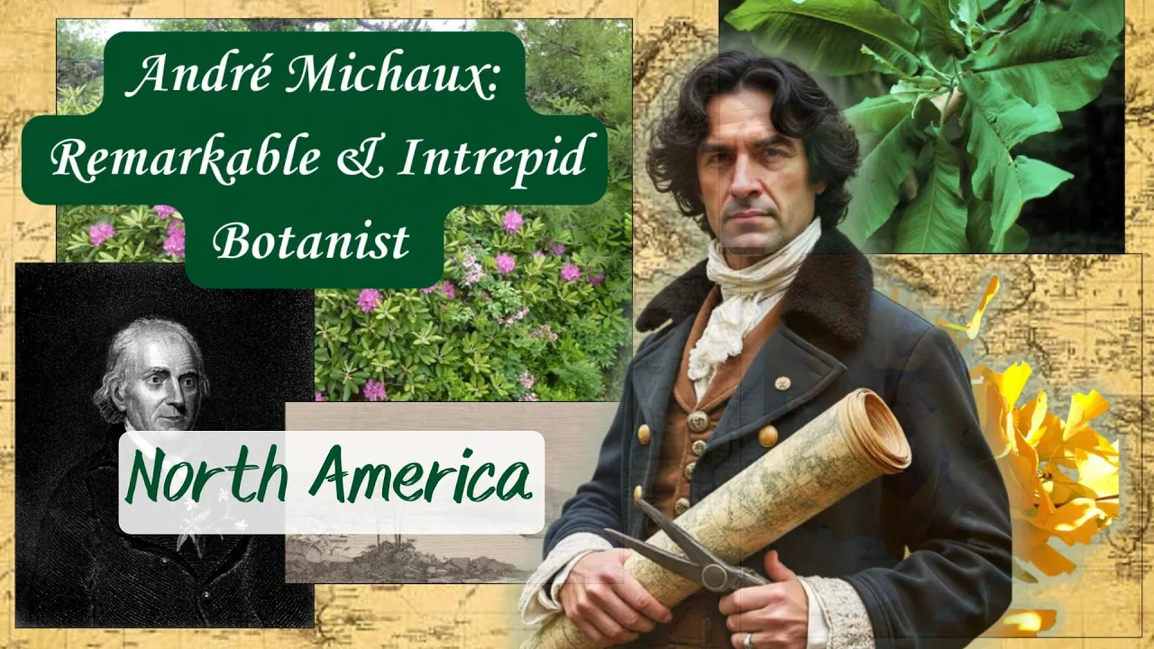 André Michaux: North America