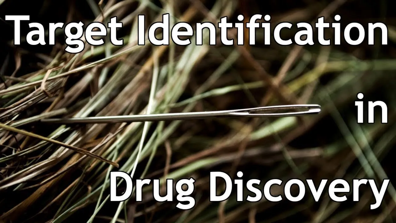 Drug Discovery - Target Identification in Drug Design and Development