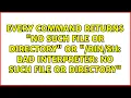 bad interpreter No such file or directory