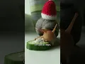 Download Lagu He Raised a Snail And It Grew Bigger Than a Cup #animals #love #shorts