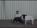 The Kid LAROI, Clara La San - THE MOMENT (Official Visualizer)