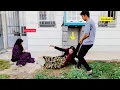 Download Lagu The husband's love for his first wife and family. His conflict with his second wife and ...