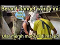Download Lagu WARGA SANGAT BERAN1 MENANGK4P ULAR MERAH YANG MUNCUL DI MASJID PERTANDA APA INI