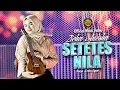 Download Lagu Zicha Anesha - Setetes Nila (Official Music Video) | DJ Kentrung Version