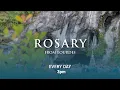 Rosary from Lourdes - 2026