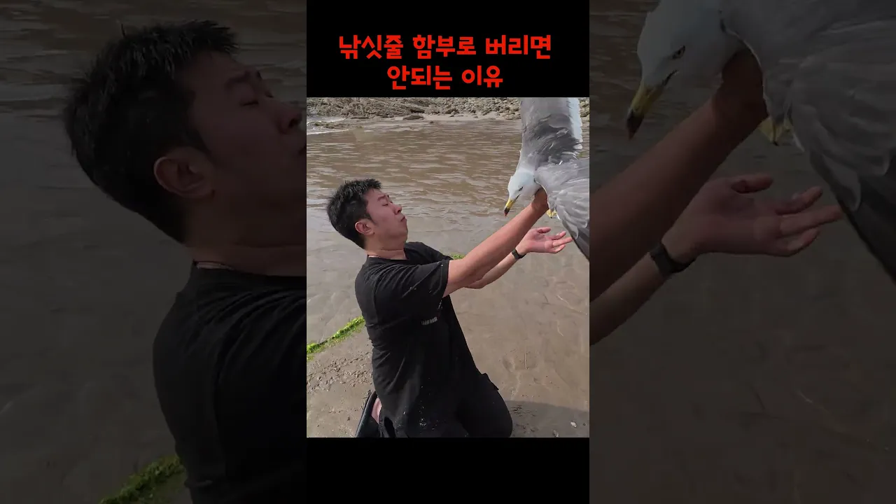낚싯줄 함부로 버리면 안되는 이유
