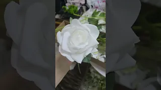 I M Talking About Flowers 