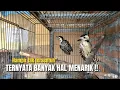 Download Lagu ISTIMEWA‼️SISI LAIN PELATUK ULAM YANG JARANG DISOROT TERNYATA‼️@KangarifPantau