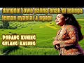 Download Lagu podang kuning dangdut jowo tak tung wenak pol..