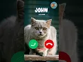 Download Lagu John oncall😺🤙#viralvideokids #catshorts #kidsshorts #funnycat #cutekitten #viralshorts #ringtone