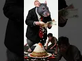 Download Lagu Tikus Kantor #iwanfals
