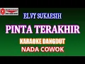 Download Lagu KARAOKE DANGDUT PINTA TERAKHIR - ELVY SUKAESIH (COVER) NADA COWOK