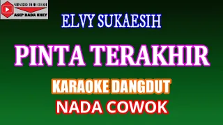 Download KARAOKE DANGDUT PINTA TERAKHIR - ELVY SUKAESIH (COVER) NADA COWOK MP3