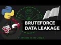 BCACTF - Bruteforcing Basic Pass with SinisterMatrix