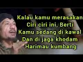 Download Lagu Kamu telah mempunyai khodam harimau kumbang.setelah anda memiliki ciri ini(@Mbah Yadi Channel)
