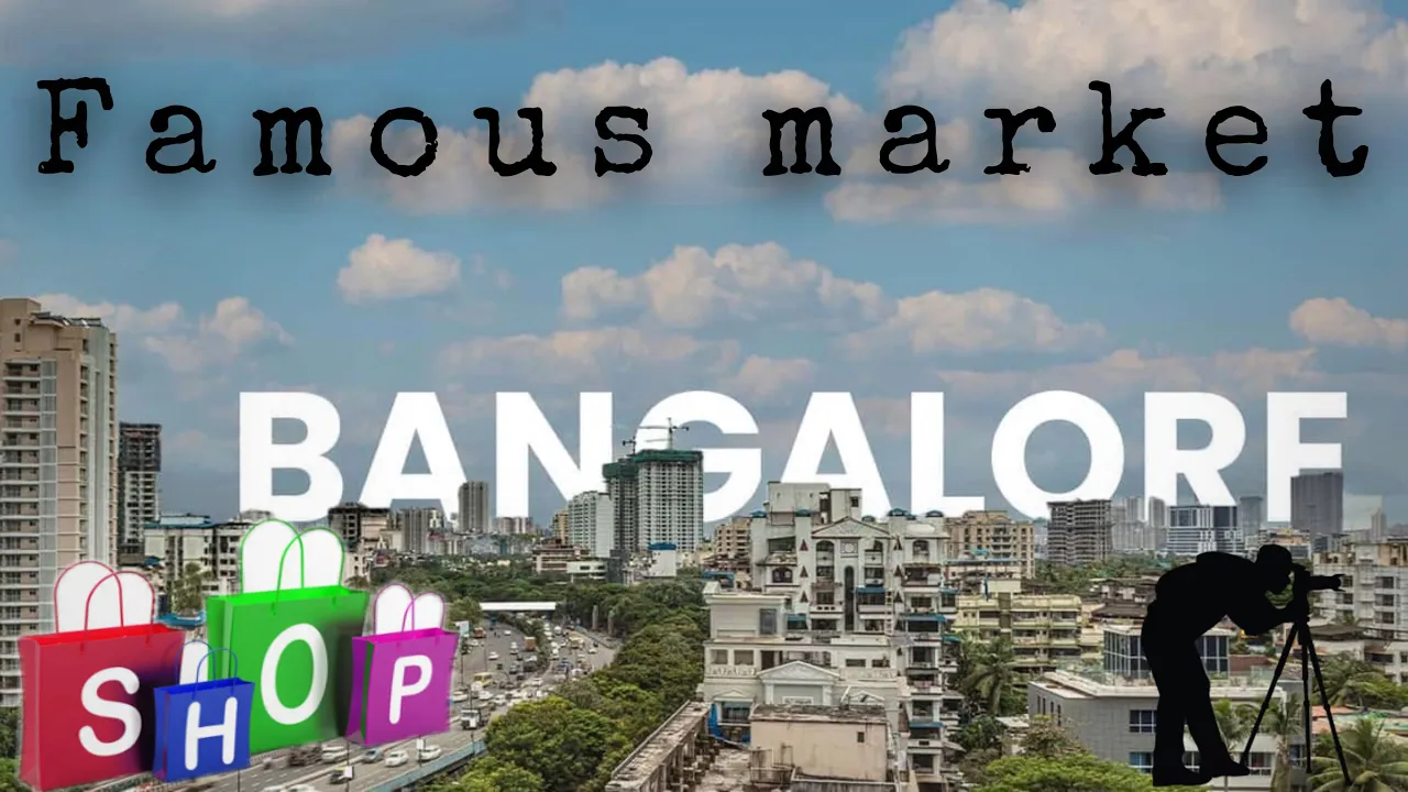 Bangalore market Gopro Purchase 🎉 | City Travel Vlog