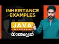 Java Tutorial - 24 Java Inheritance Examples Sinhala