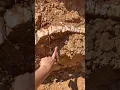 Geology myth or fact quartz vs gold