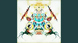 exploratory sensibilites original mix 