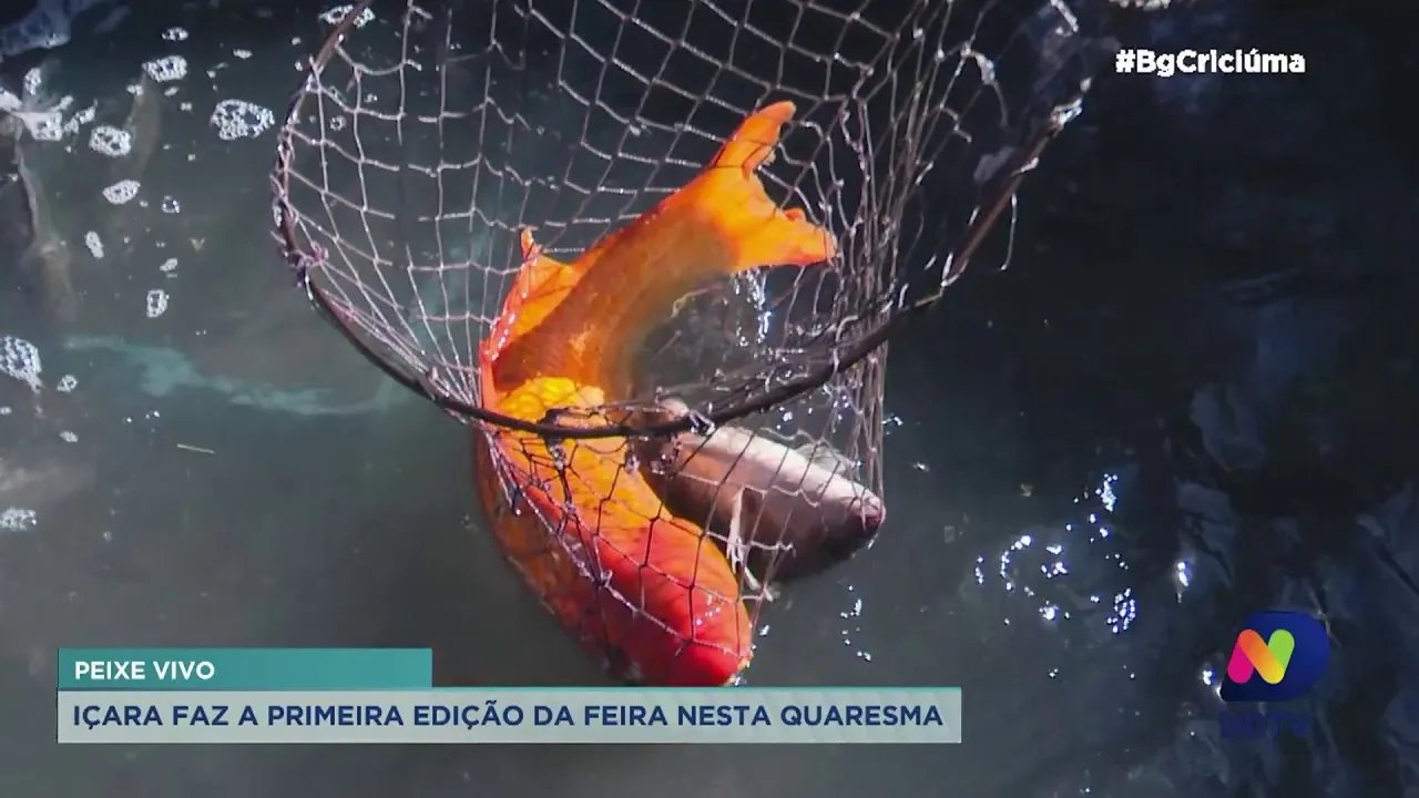 Mais uma edição de Feira do Peixe Vivo inicia em Içara