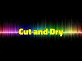 Download Lagu Cut and Dry - Kevin MacLeod [1 Hour]