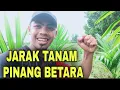 Download Lagu Jarak Tanam Pinang Betara