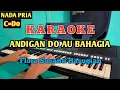 Download Lagu KARAOKE ANDIGAN DO AU BAHAGIA - FLORA SUSANTI HASUGIAN NADA PRIA