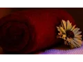 Amazing Massage Studio London